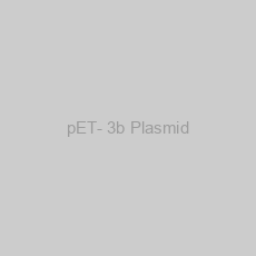 Image of pET- 3b Plasmid
